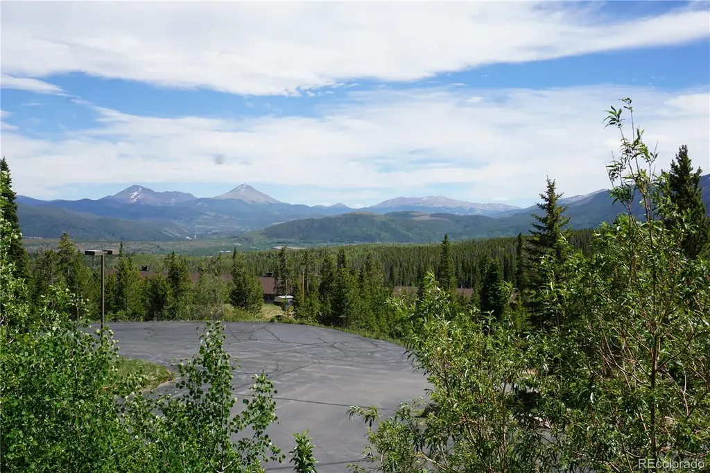 91300 Ryan Gulch Road Silverthorne CO 80498
