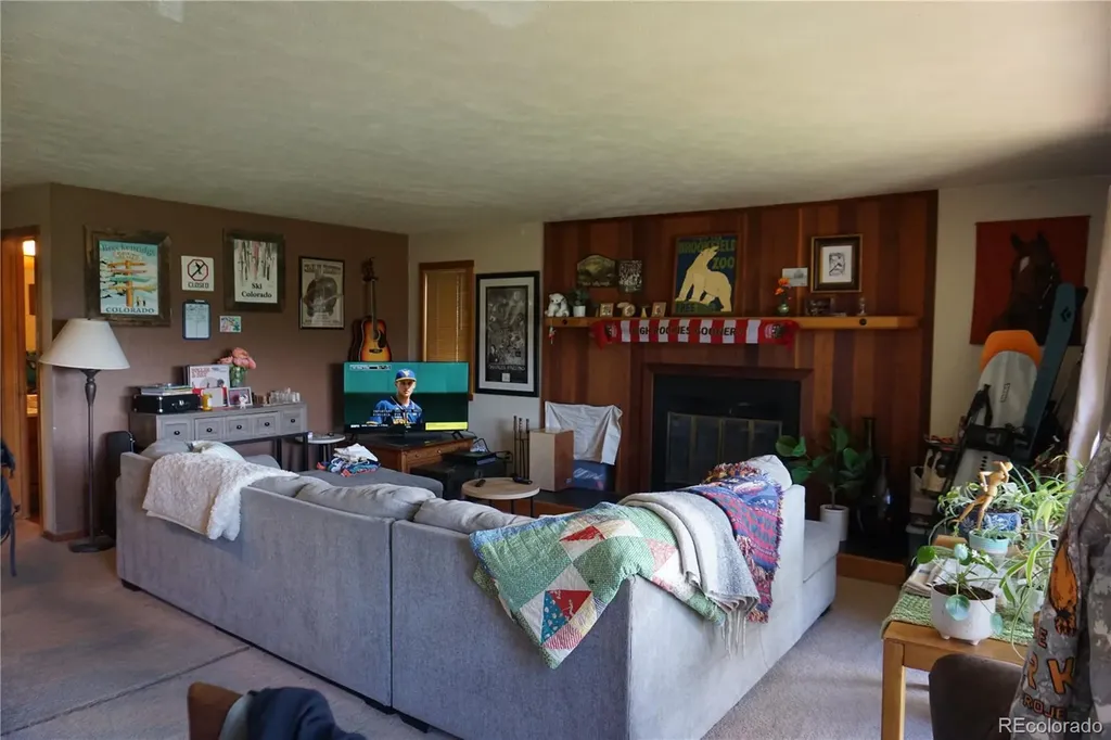 91300 Ryan Gulch Road Silverthorne CO 80498