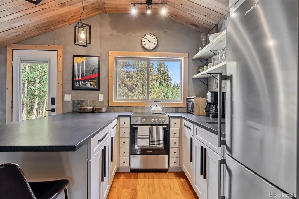 932 Peterson Drive Alma CO 80420