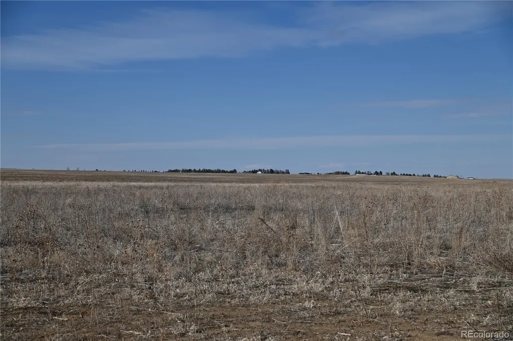 53250 E 26th Avenue Strasburg CO 80136