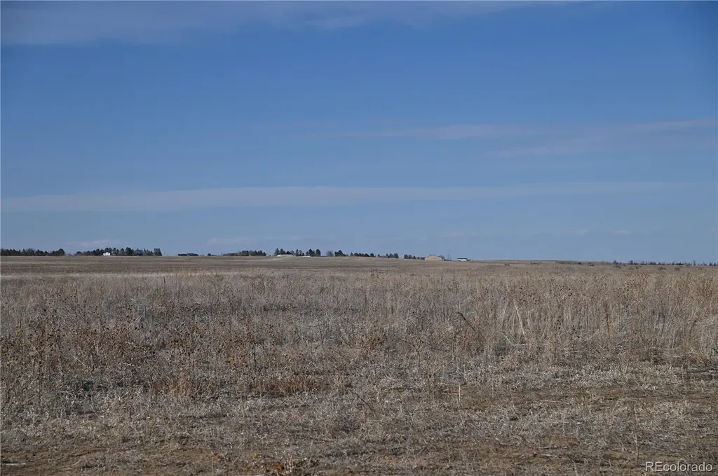 53250 E 26th Avenue Strasburg CO 80136