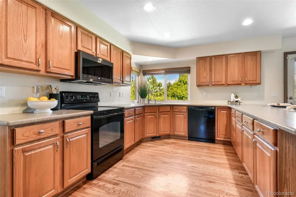 517 Talus Road Monument CO 80132