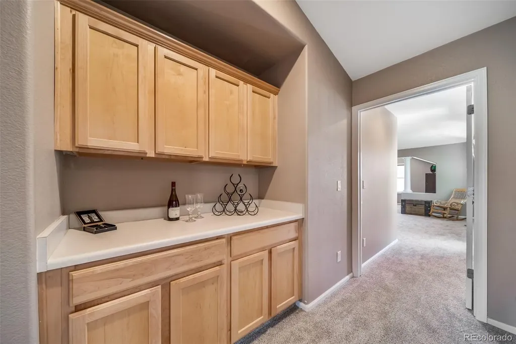 16533 Red Brush Place Parker CO 80134