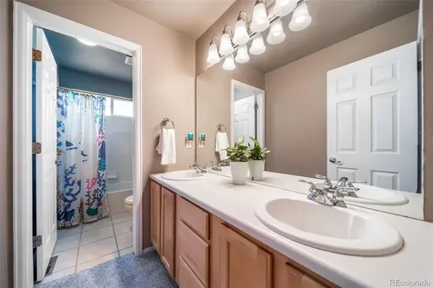 16533 Red Brush Place Parker CO 80134