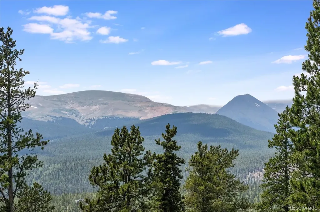 592 Ponderosa Road Alma CO 80440