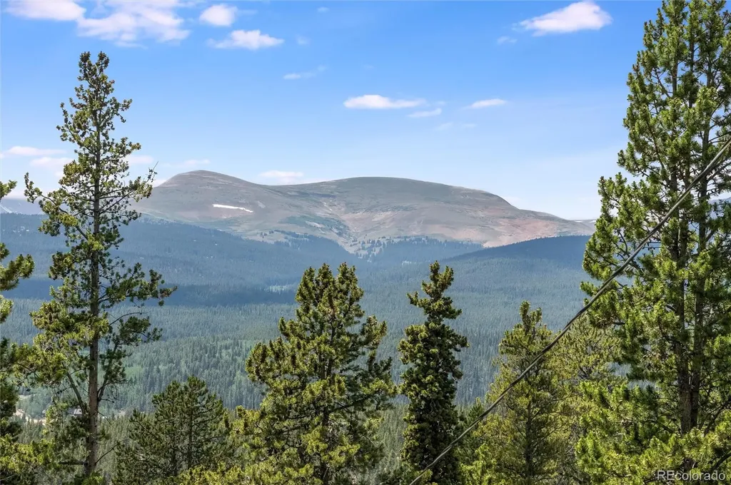 592 Ponderosa Road Alma CO 80440