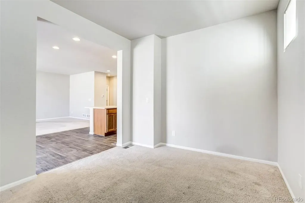 4709 Helena Street Denver CO 80239