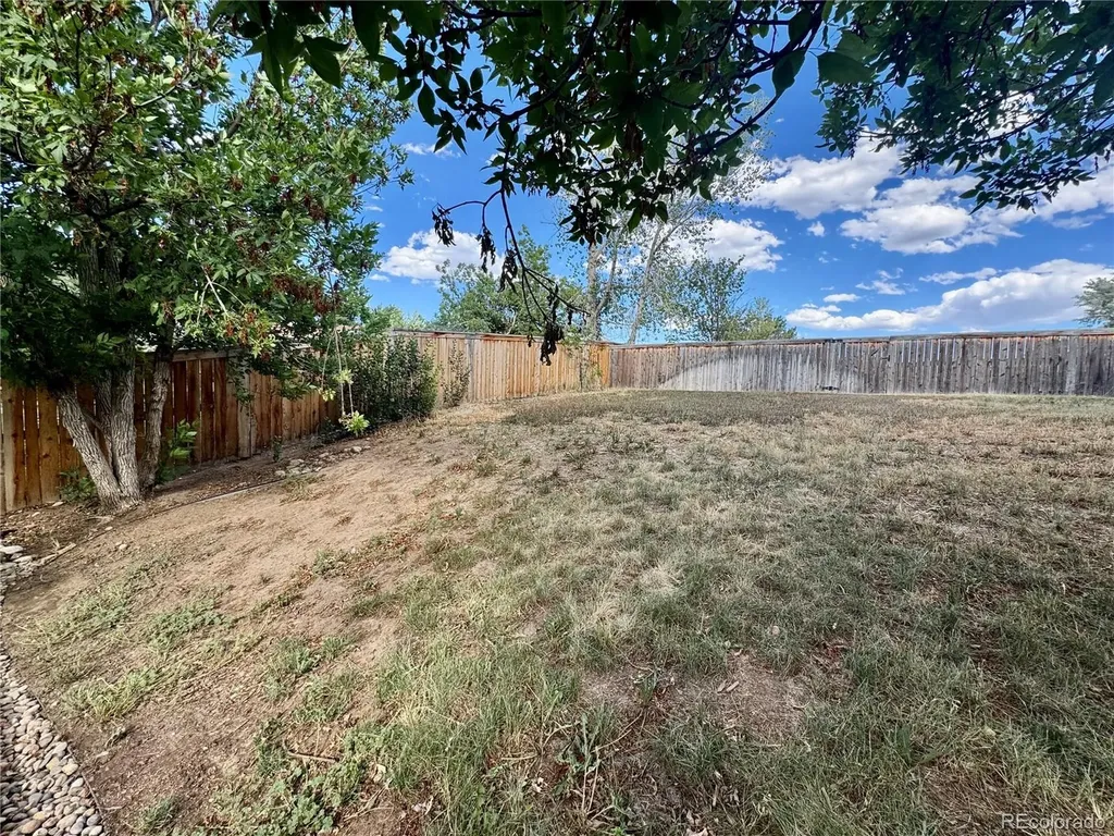 10078 Apollo Bay Way Littleton CO 80130