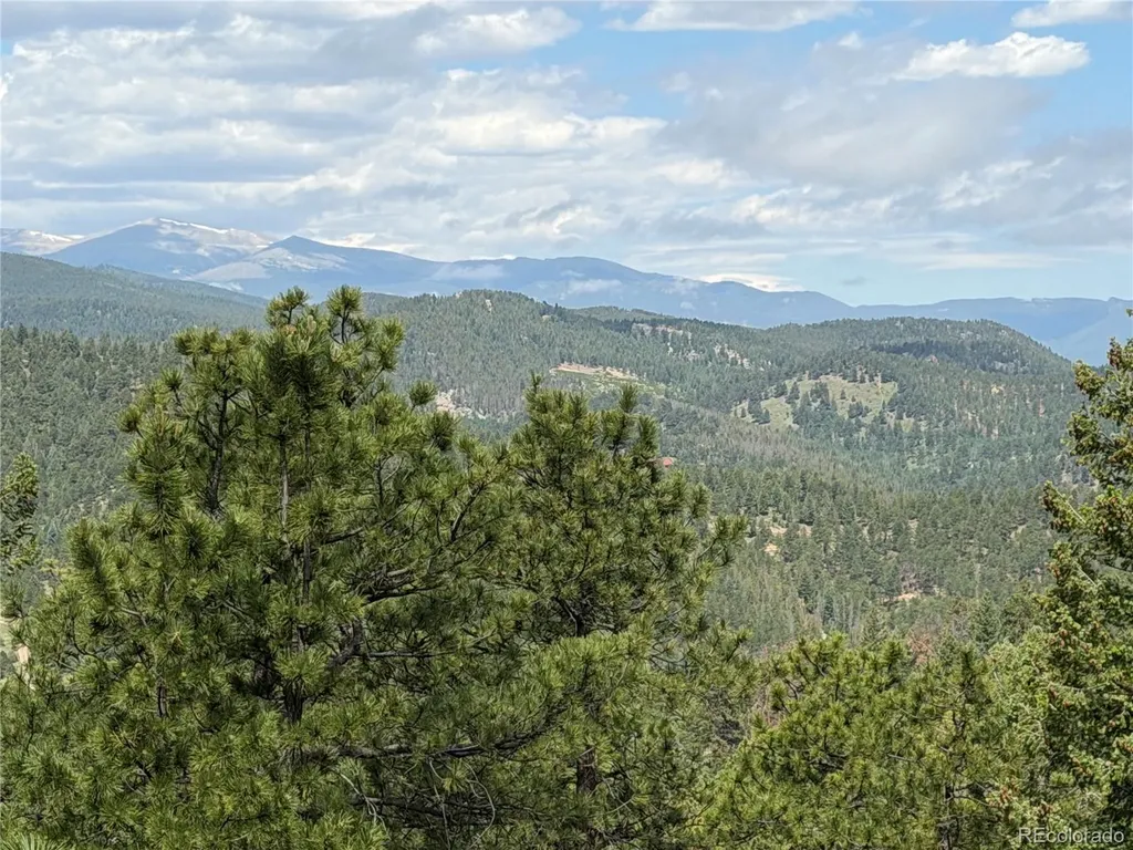 7637 Centaur Drive Evergreen CO 80439