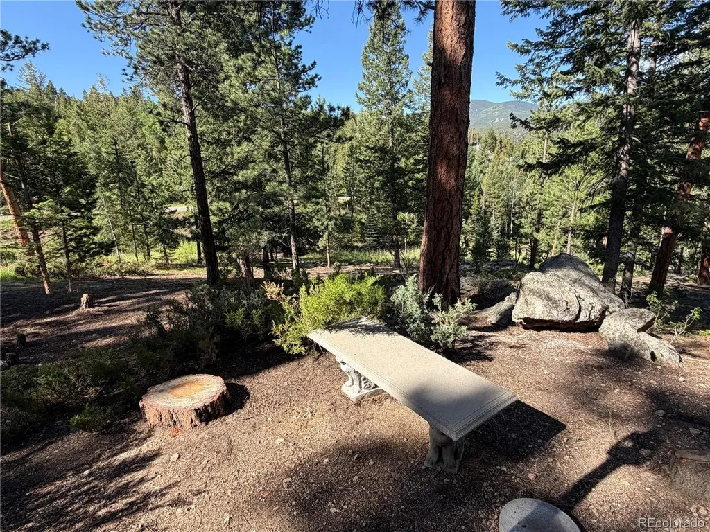 7637 Centaur Drive Evergreen CO 80439