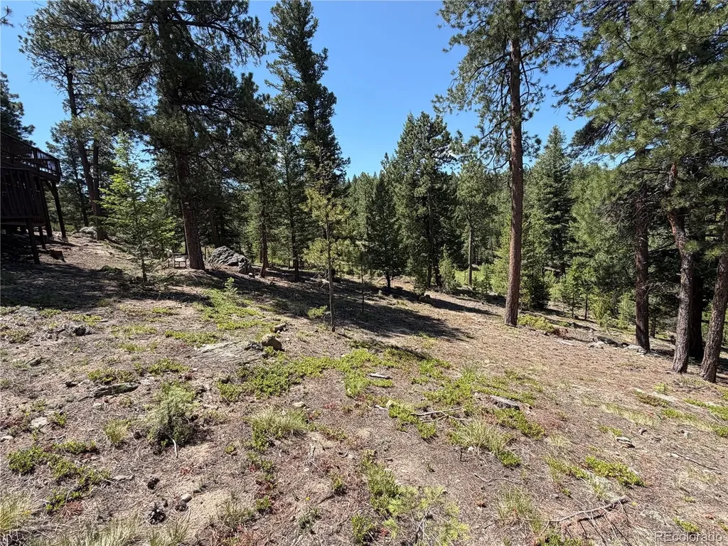 7637 Centaur Drive Evergreen CO 80439