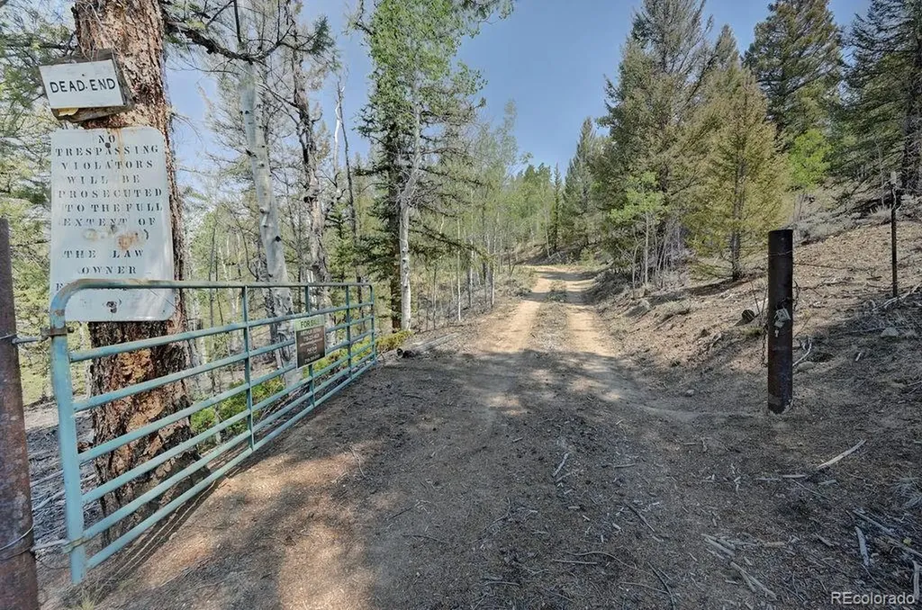 3029 Yankee Blade Granite CO 81228