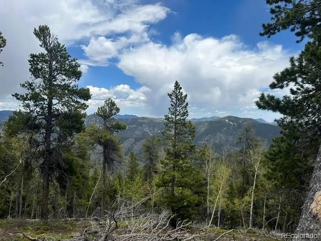 002 Sunny Skies Trail Idaho Springs CO 80452