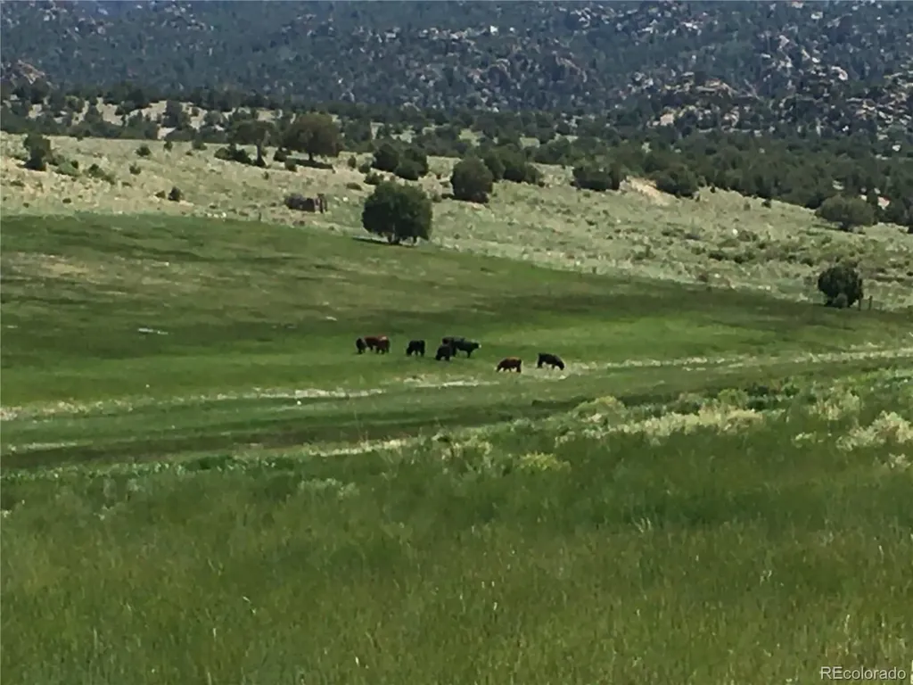 11355 E County Road 270 Nathrop CO 81236