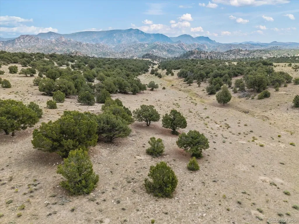 11355 E County Road 270 Nathrop CO 81236