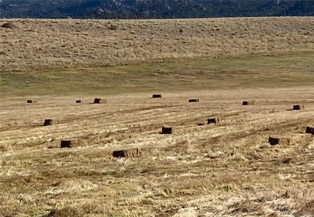 11355 E County Road 270 Nathrop CO 81236