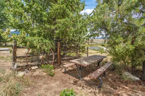 11355 E County Road 270 Nathrop CO 81236