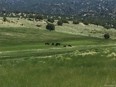11355 E County Road 270 Nathrop CO 81236
