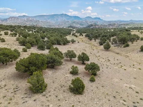 11355 E County Road 270 Nathrop CO 81236