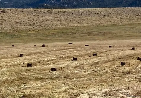11355 E County Road 270 Nathrop CO 81236