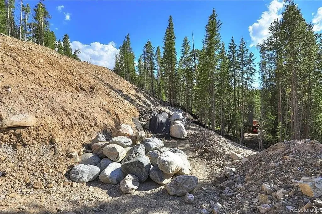 103 Cr 529 Breckenridge CO 80424