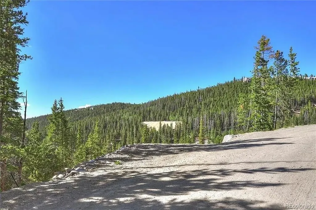 103 Cr 529 Breckenridge CO 80424