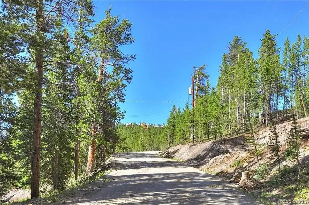 103 Cr 529 Breckenridge CO 80424