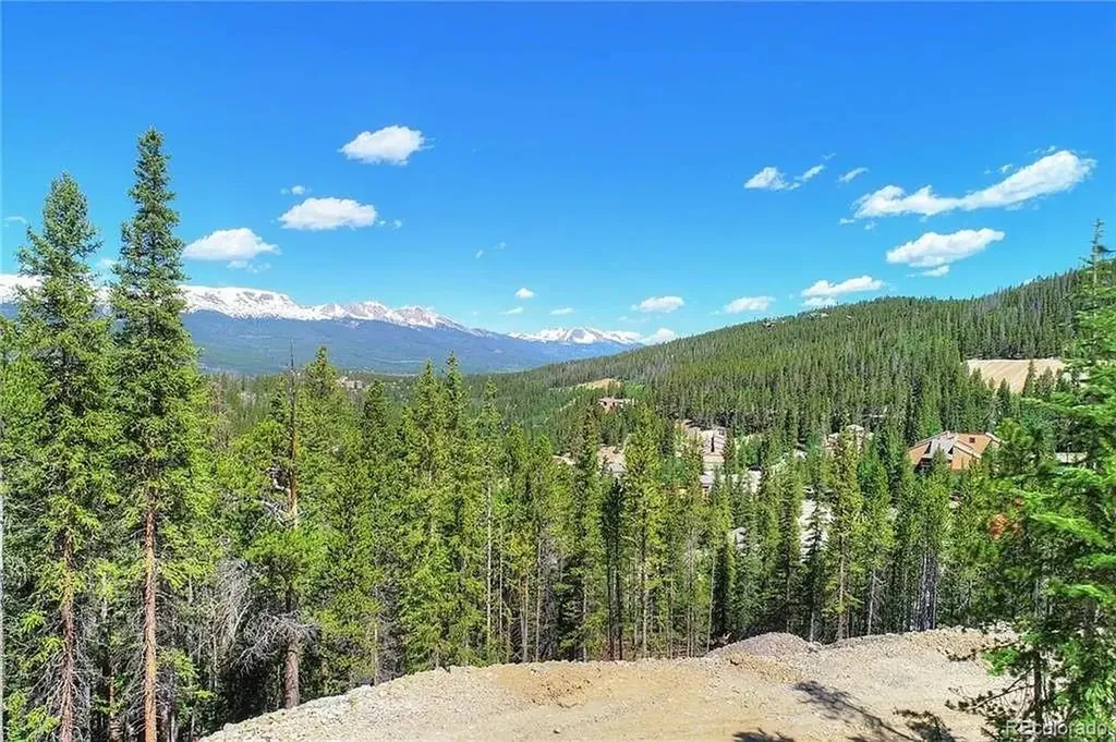 103 Cr 529 Breckenridge CO 80424