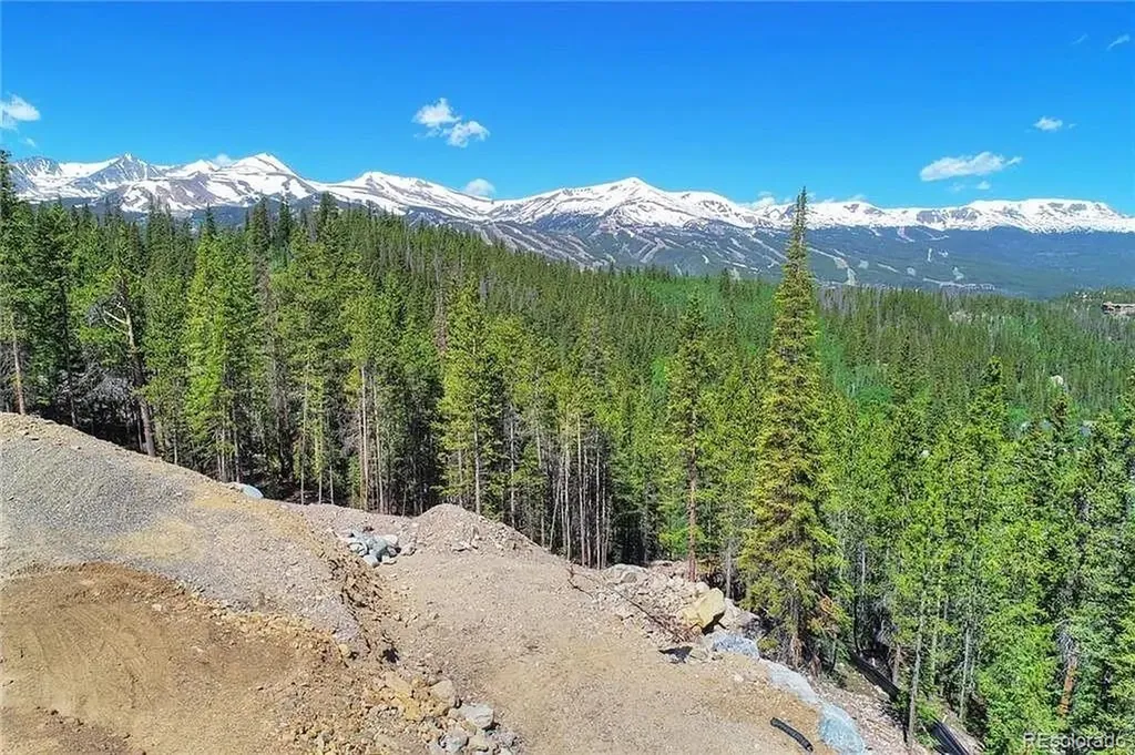103 Cr 529 Breckenridge CO 80424