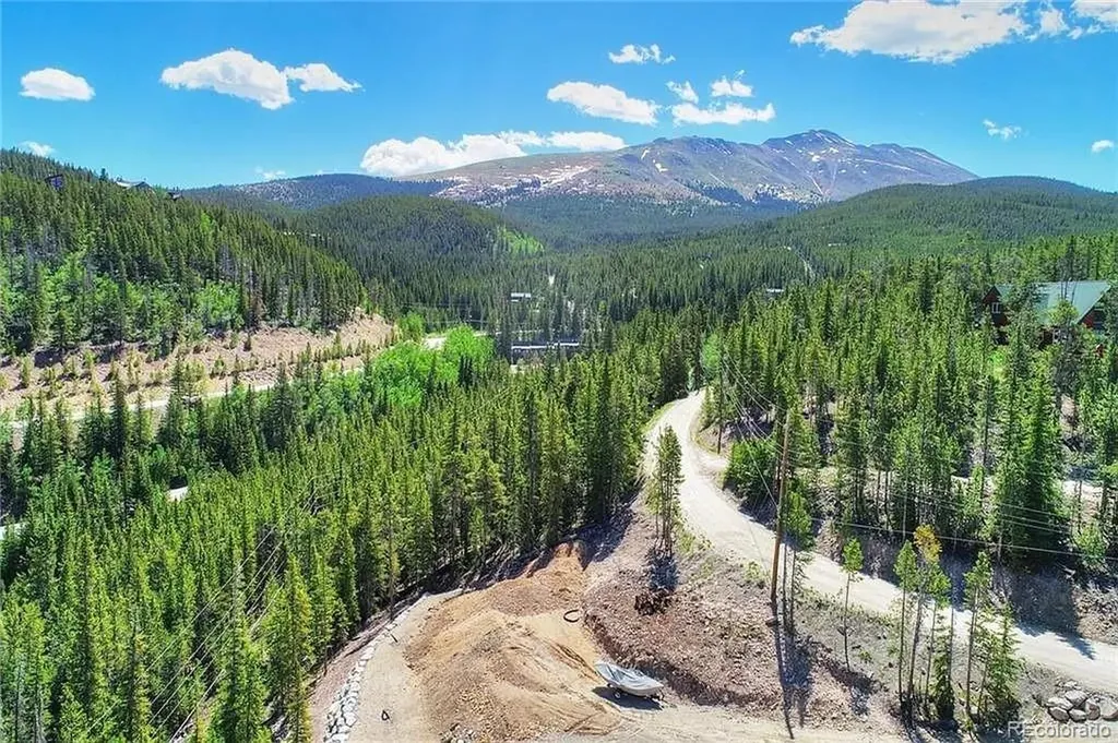 103 Cr 529 Breckenridge CO 80424