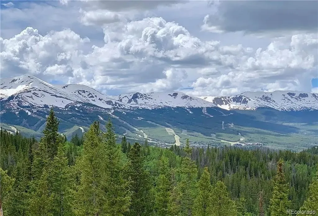 103 Cr 529 Breckenridge CO 80424