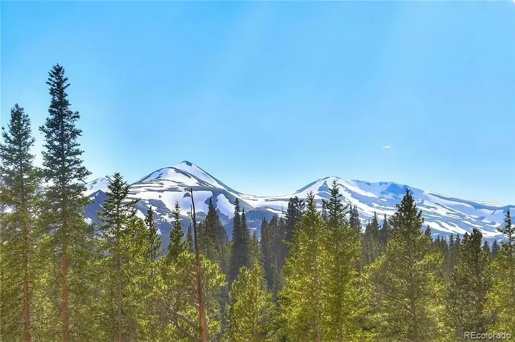 103 Cr 529 Breckenridge CO 80424