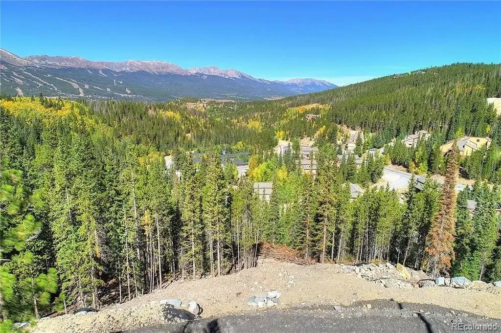 103 Cr 529 Breckenridge CO 80424