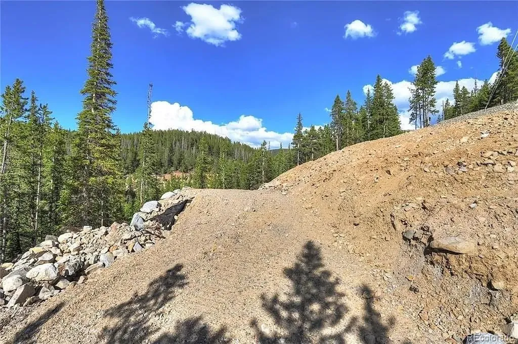 103 Cr 529 Breckenridge CO 80424