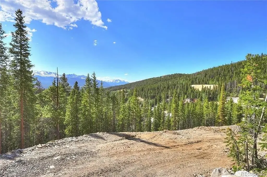 103 Cr 529 Breckenridge CO 80424
