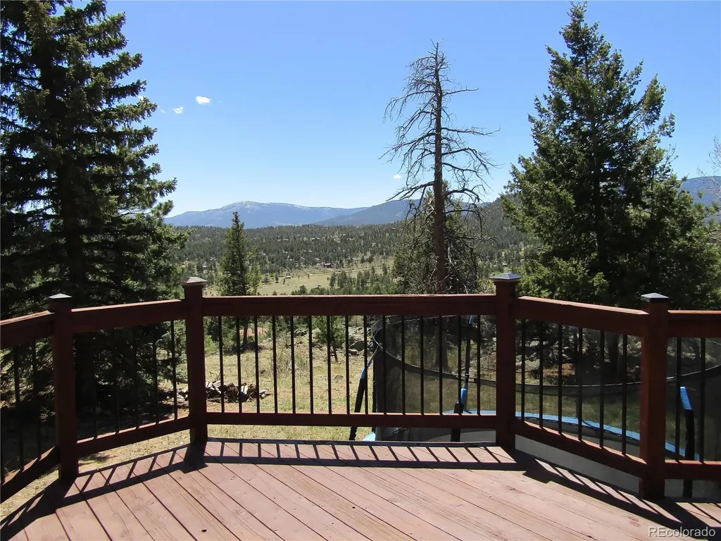 429 Overlook Drive Bailey CO 80421