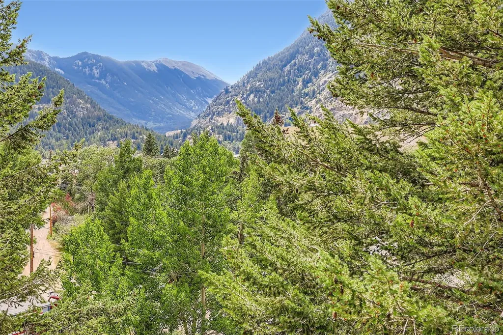 819 Valley View Drive Georgetown CO 80444