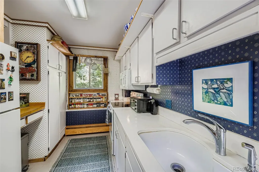 819 Valley View Drive Georgetown CO 80444