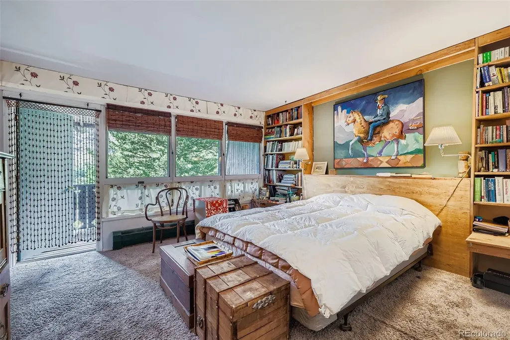 819 Valley View Drive Georgetown CO 80444