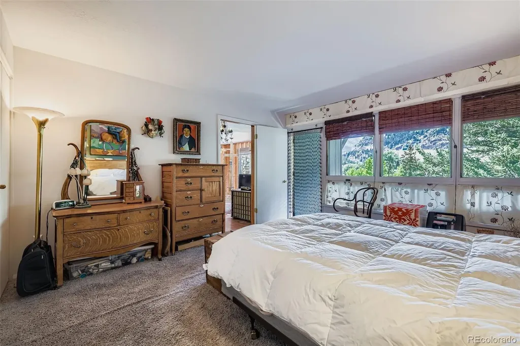 819 Valley View Drive Georgetown CO 80444