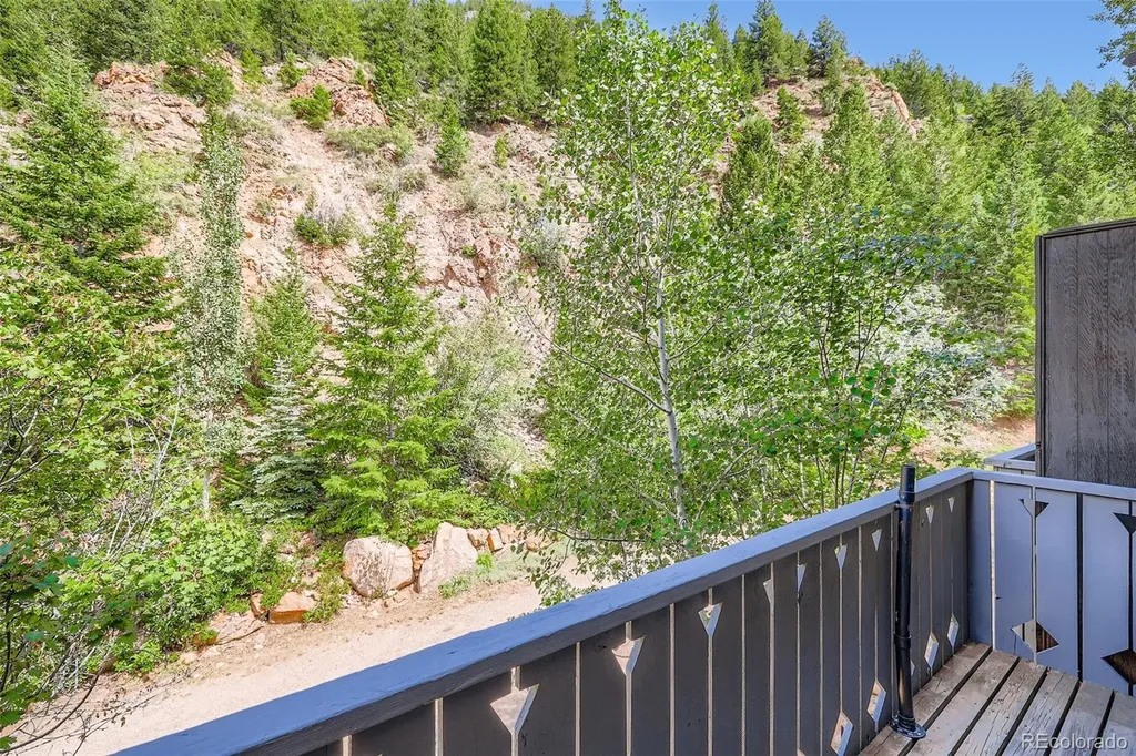 819 Valley View Drive Georgetown CO 80444