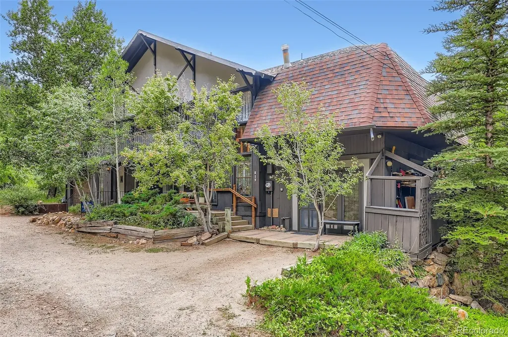 819 Valley View Drive Georgetown CO 80444