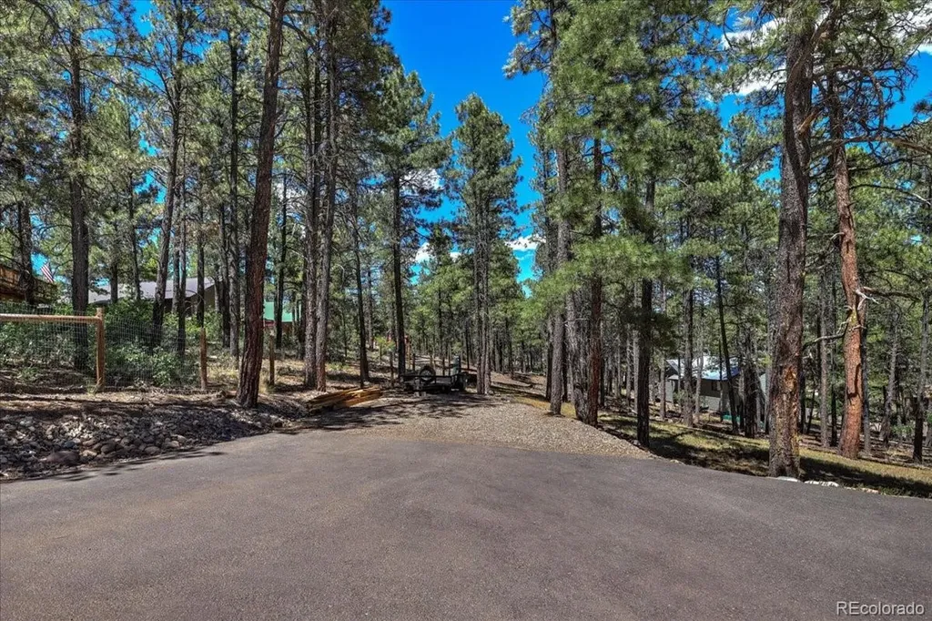 30 Moffat Court Pagosa Springs CO 81147