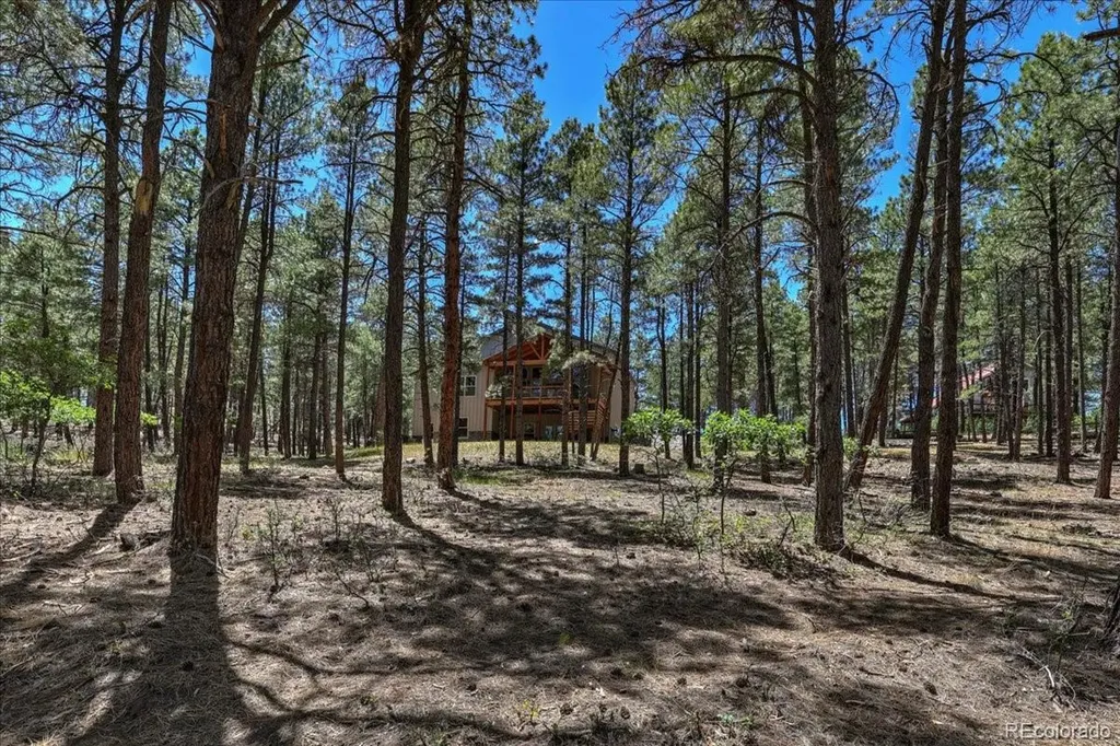 30 Moffat Court Pagosa Springs CO 81147