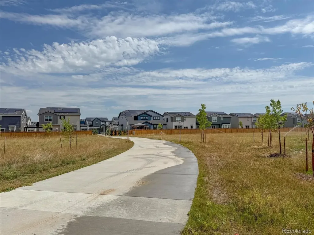 3674 Watts Street Timnath CO 80547