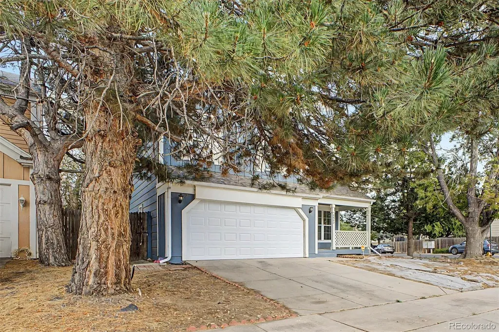 4602 Malaya Street Denver CO 80249