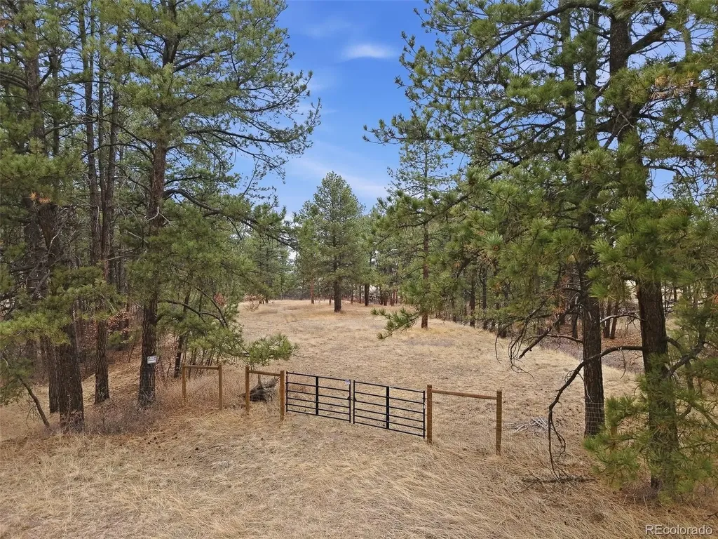 E Park Drive Franktown CO 80116