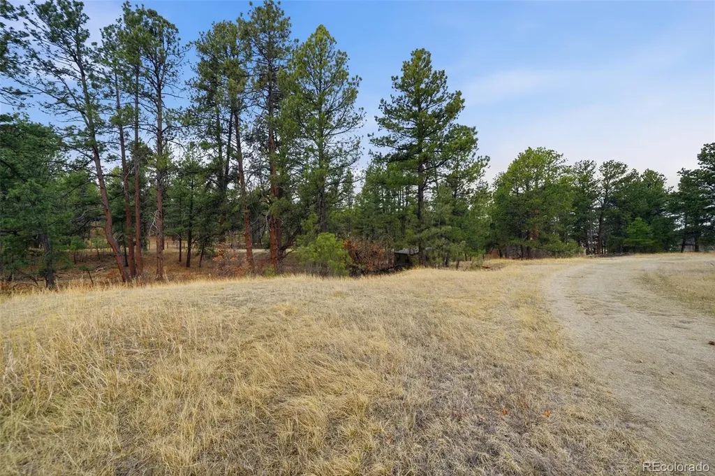E Park Drive Franktown CO 80116