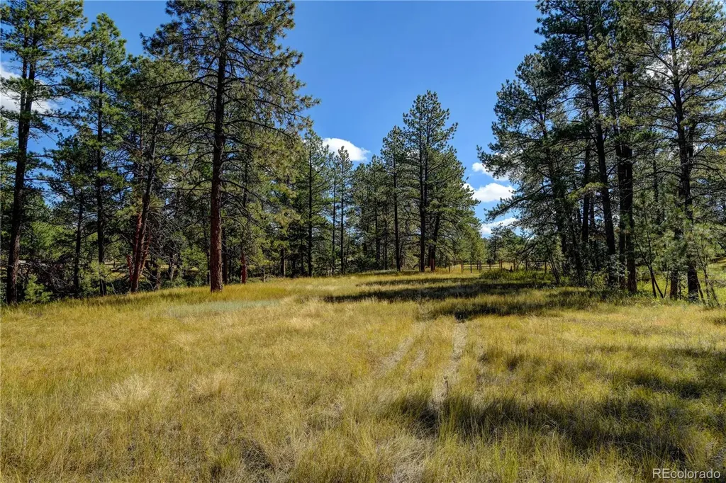 E Park Drive Franktown CO 80116