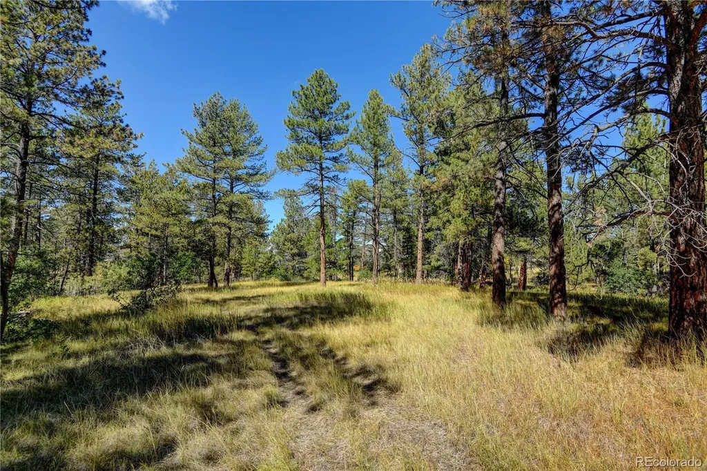 E Park Drive Franktown CO 80116